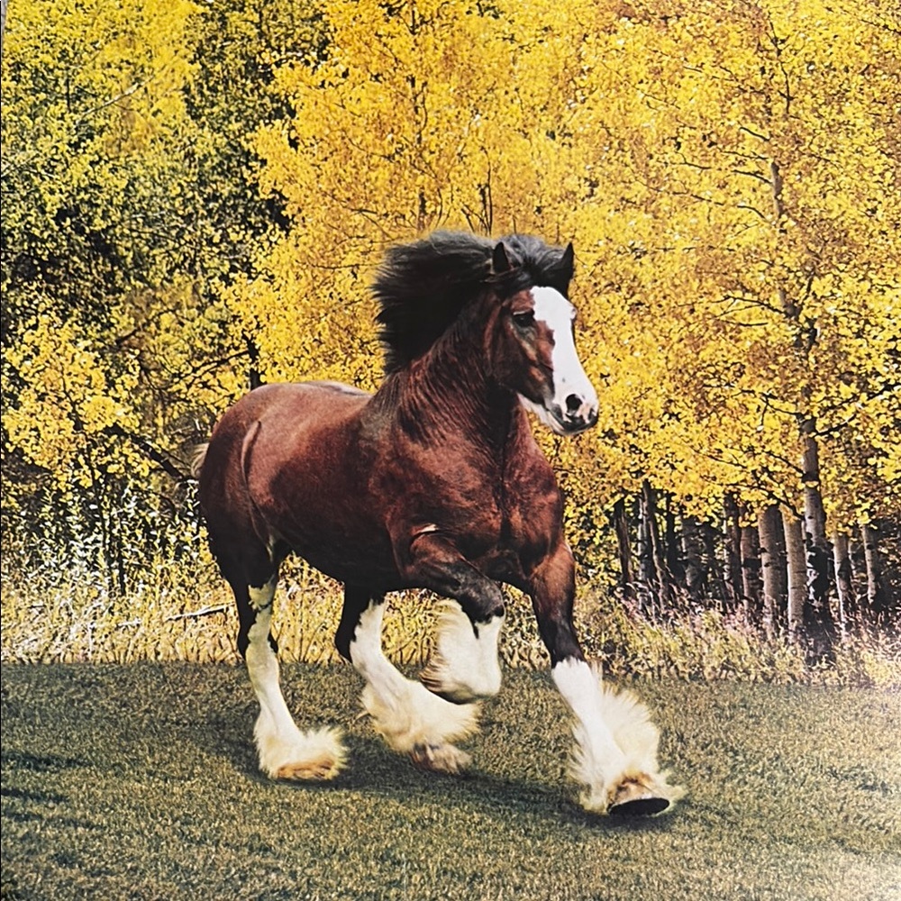 Vintage 1980s Bud Light seasons, best poster series